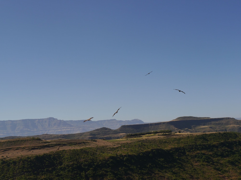 Sora Lodge Lalibela