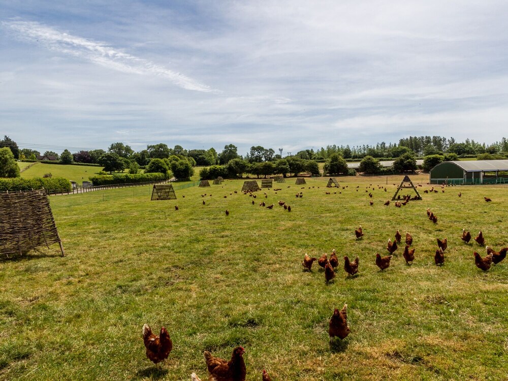 The Farm House @ Nables Farm