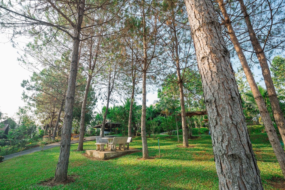 Raisongrao Resort