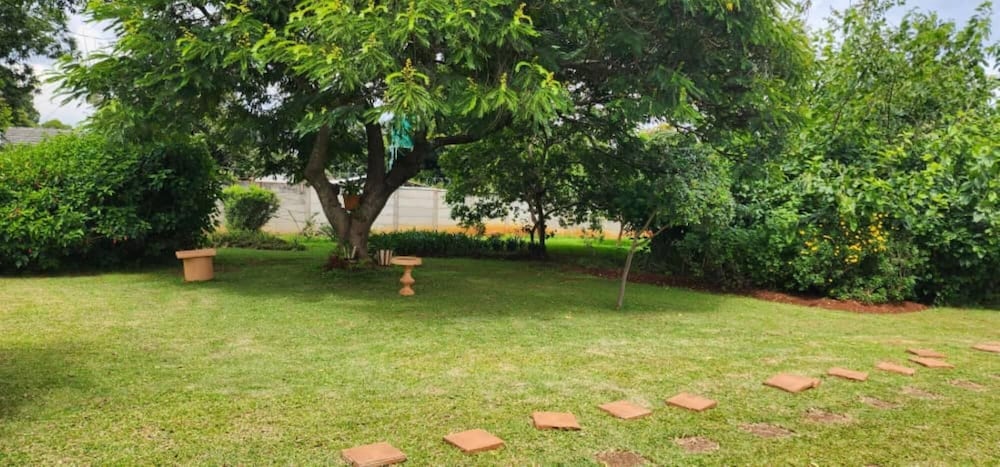 Lovely 3 bed in Mount Pleasant - 2153