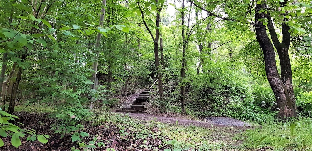 Photo 25