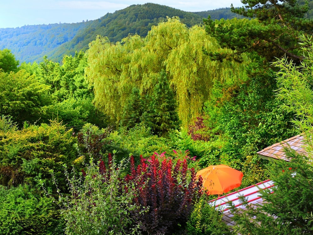 Vintage Chalet in Sougné-Remouchamps near Forest view 3