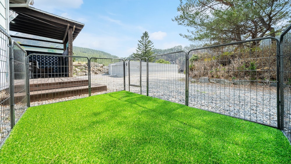 Yeongwol Nature & Pet Retreat