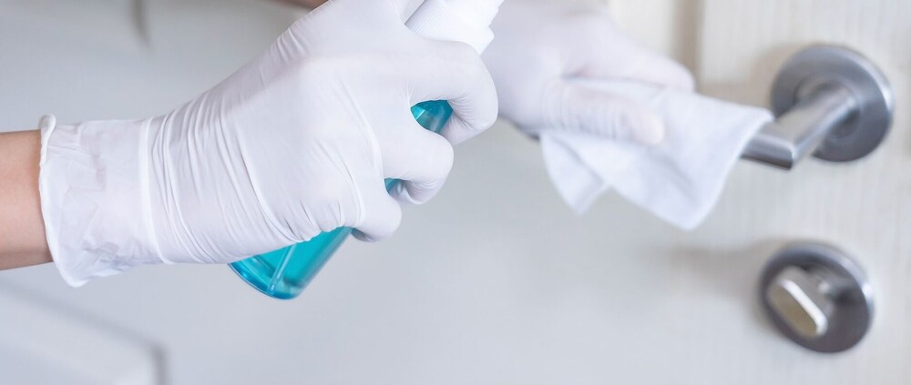 Spacious Home With Private Pool Near Disney - Image 5