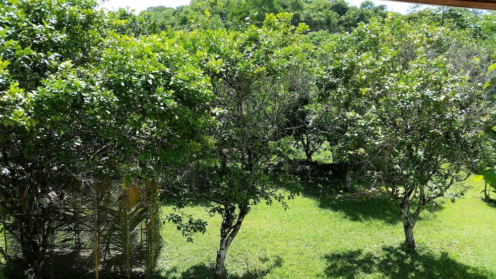 Rock Farm Guest House