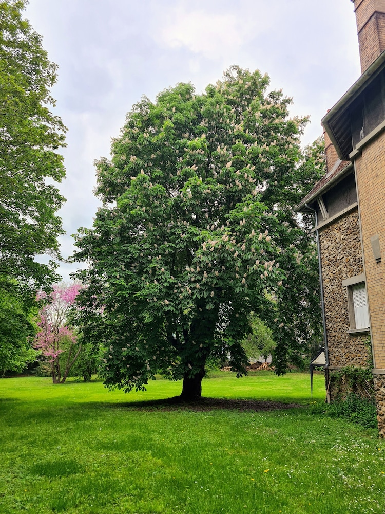 Demeure du saule Madame view 5
