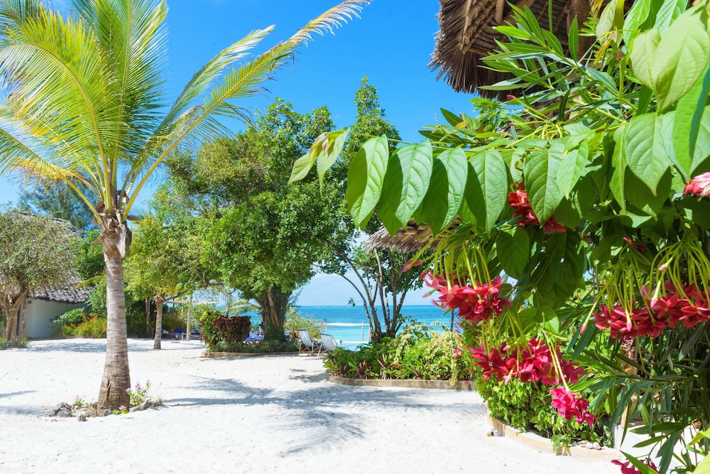Kiwengwa Vacations - Marafiki Bungalows - Property Image 118
