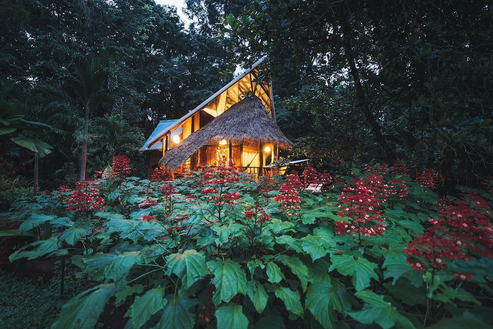 Tree House Beachfront Lodge
