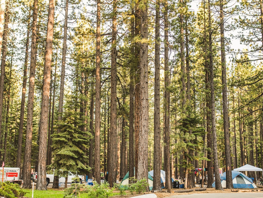 Tahoe Valley Campground