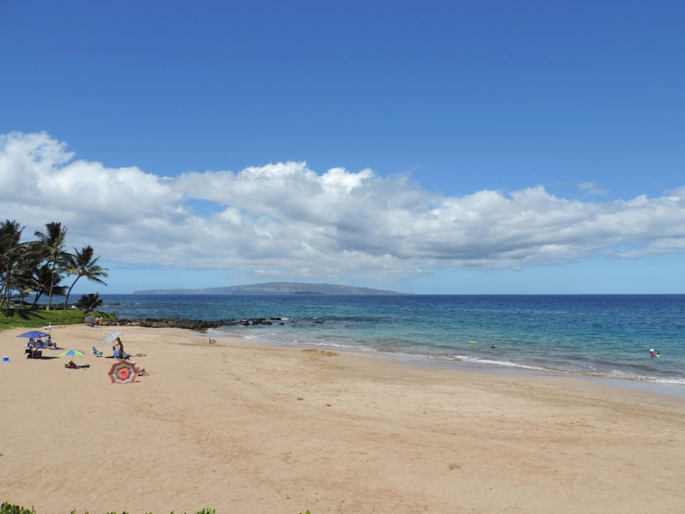 Polo Beach Club Vacation Rentals - APlus Resorts