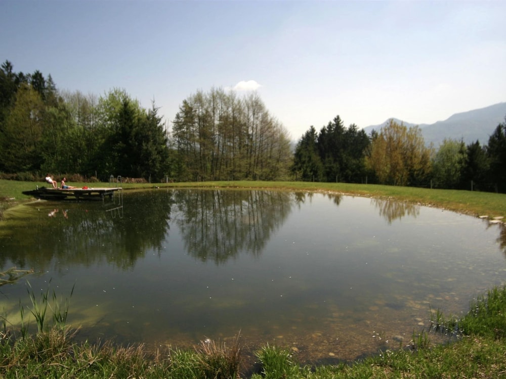 Apartment in Bleiburg Near Petzen Ski Area