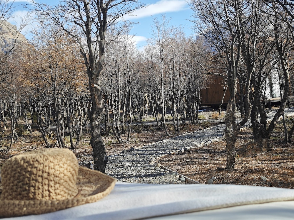 Viento de Glaciares