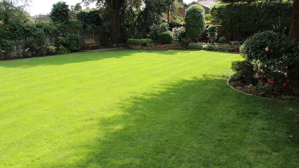 garden
