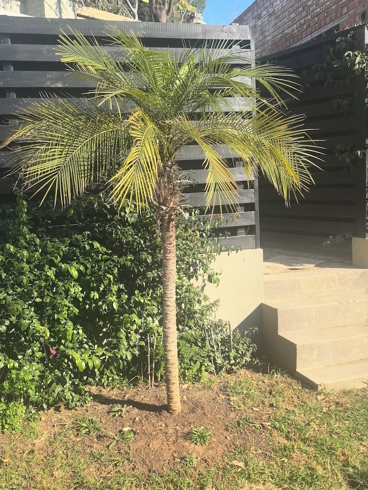 Bryanston Palms Accommodation