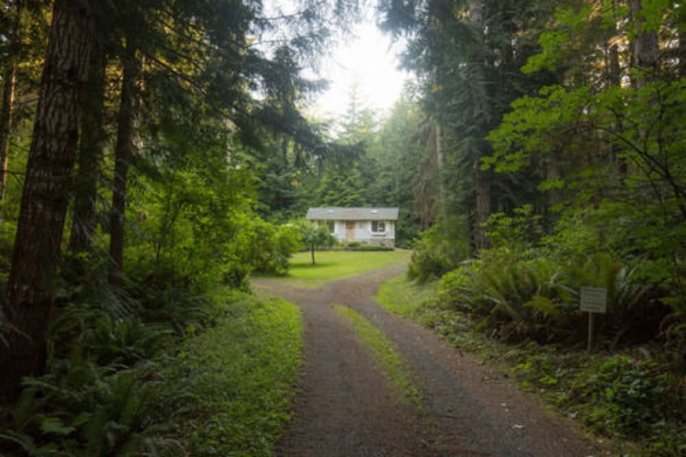 A Hidden Haven & Water Garden Cottages view 4