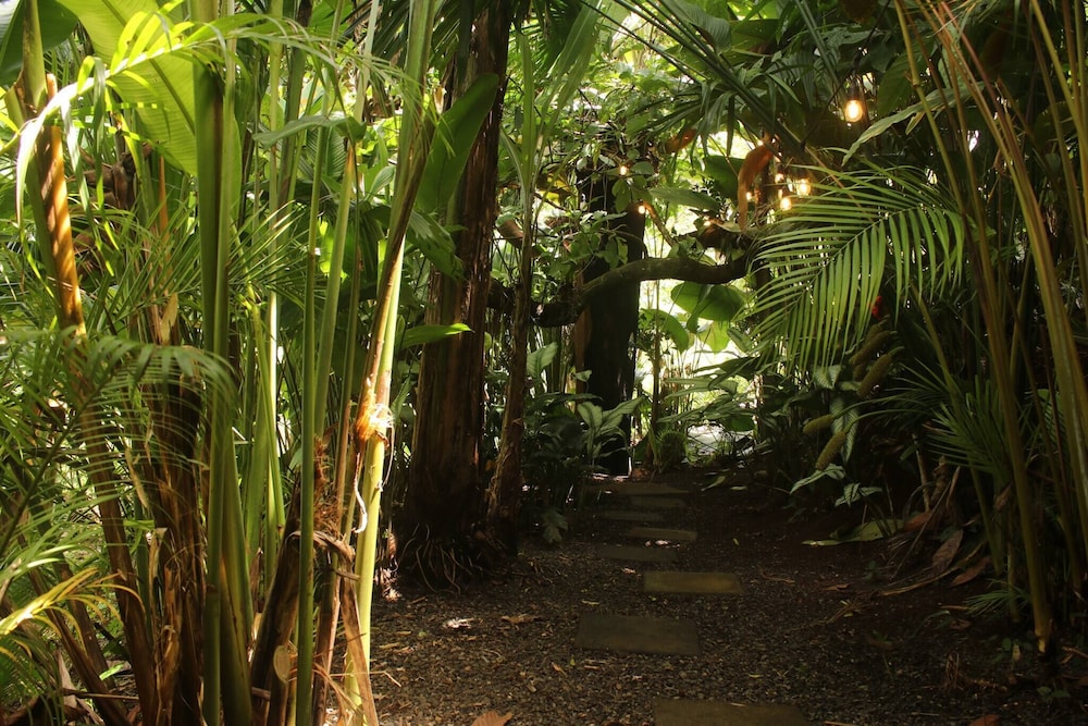 Cabaña Luculuc Garden & Forest