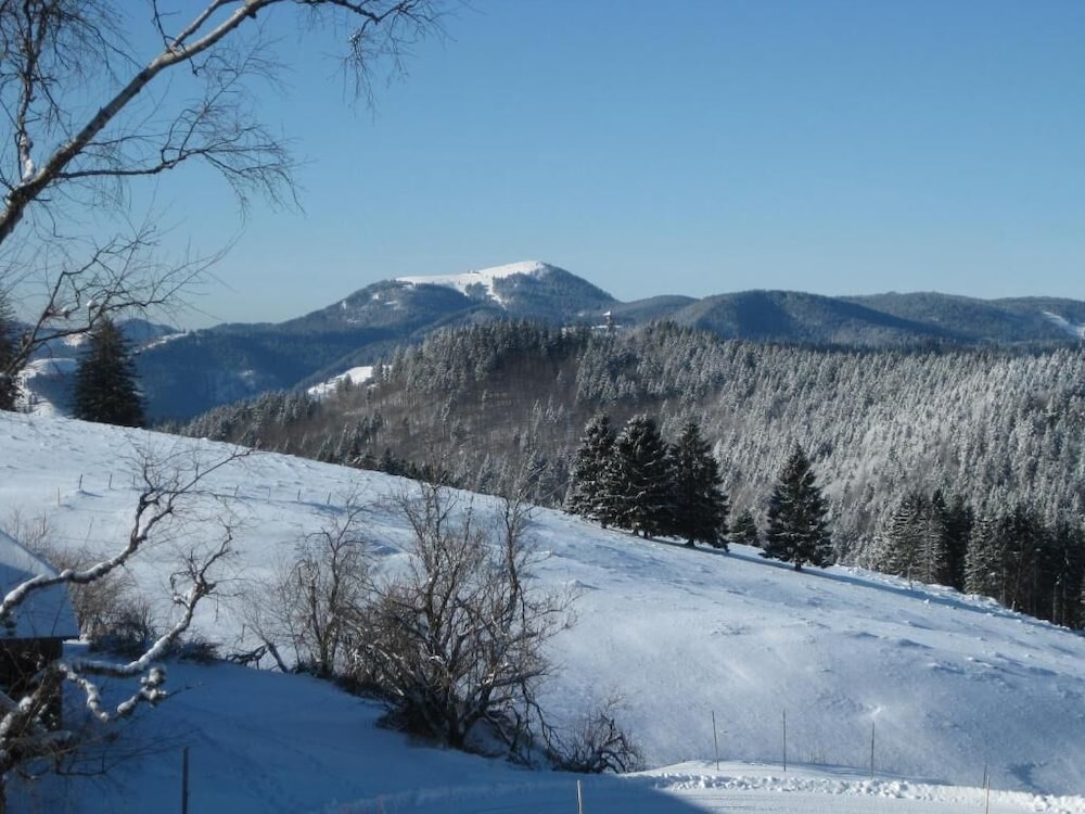 Berggasthaus Gisiboden view 5