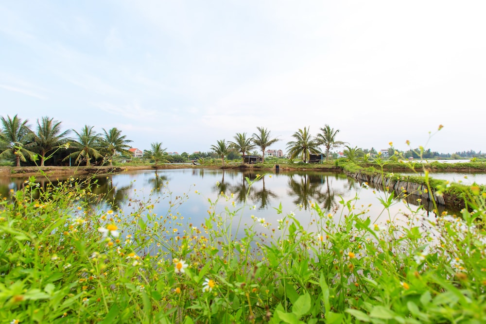 Vy Hoa Hoi An Villas
