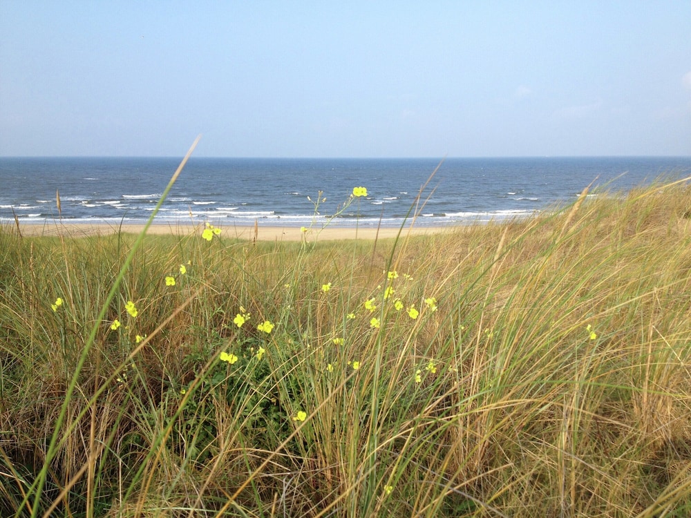 Cozy Apartment near Sea in Bergen aan Zee