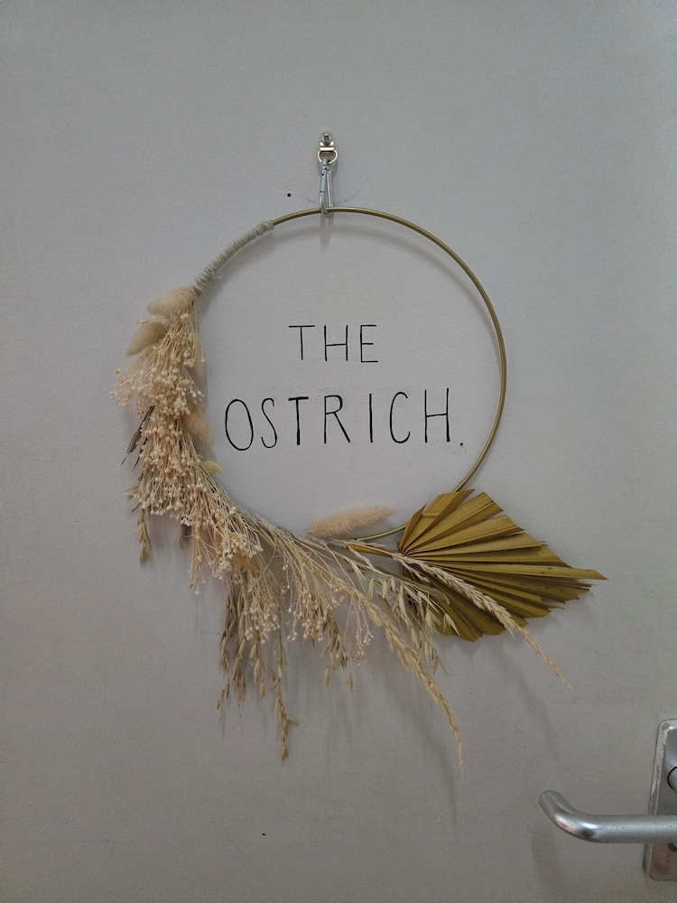 The Ostrich