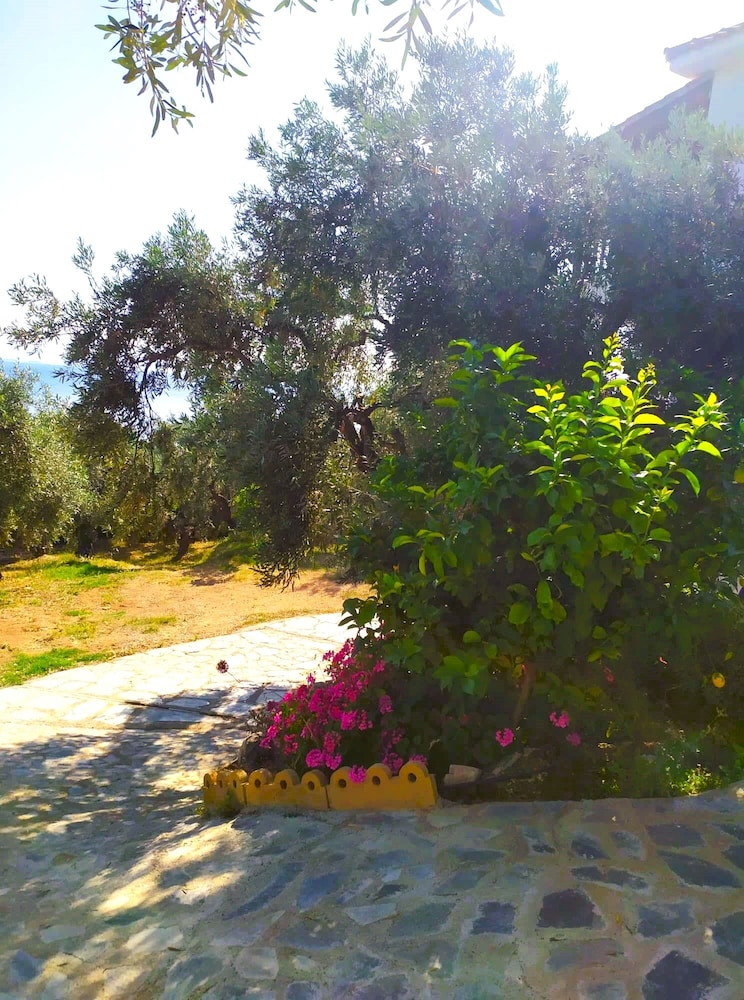 Photo 15