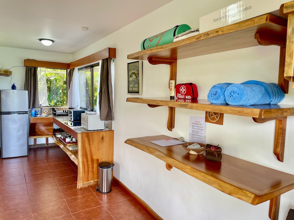 The Fruit Tree Garden Bromeliad Suite