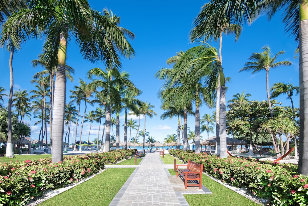 All Inclusive Holiday Inn Resort Aruba - Property Image 29
