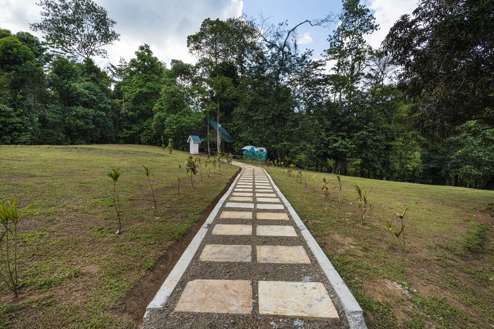 Photo 50