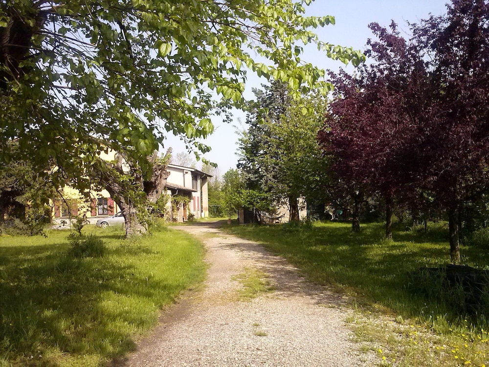 Photo 28