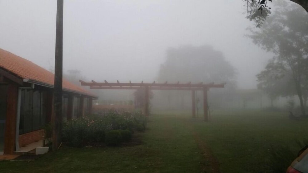 Bosque Da Neblina