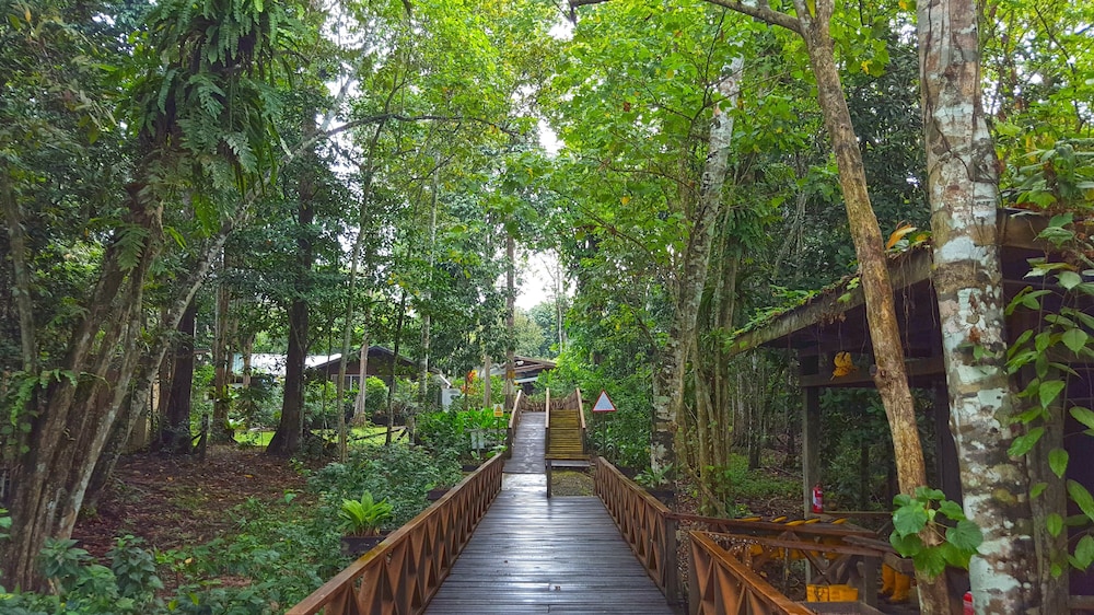 Borneo Nature Lodge photo 5