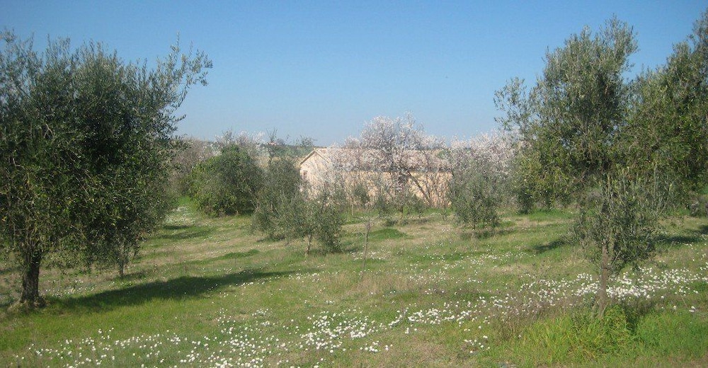 Photo 27