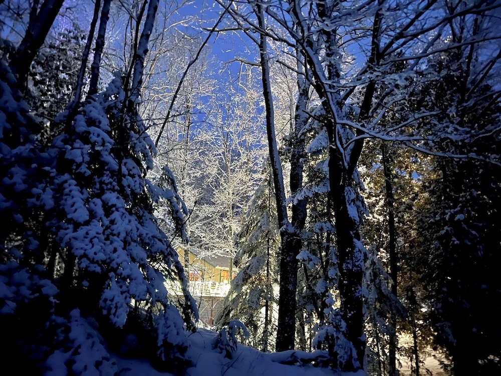 Hauser's Bayfield Cabin
