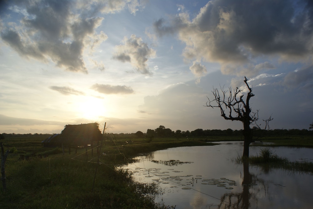 Jungle House Yala