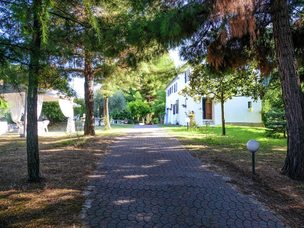 Photo 23