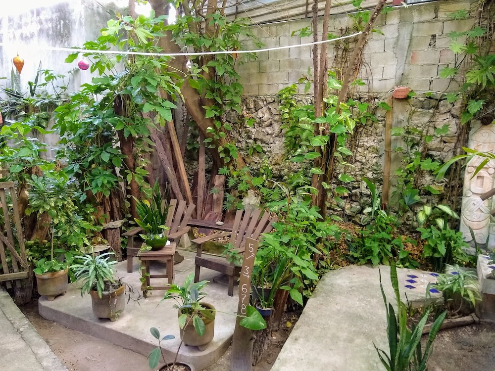 Casitas Kinsol