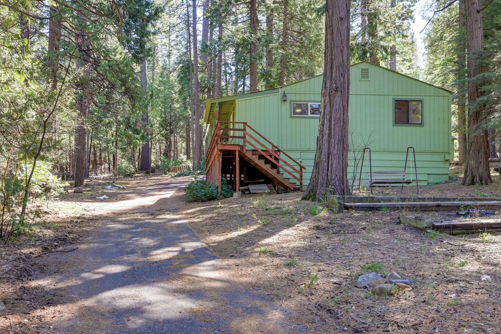 Stay Near Big Trees, Bring Your Pets: Arnold Cabin