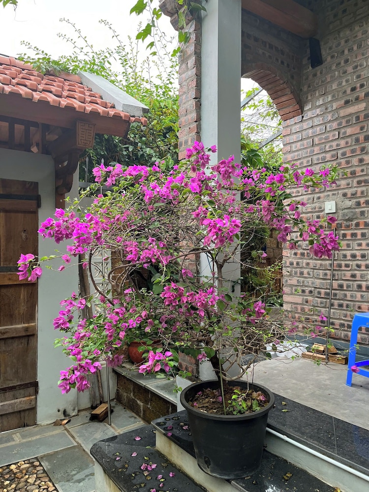 Duong Lam Village