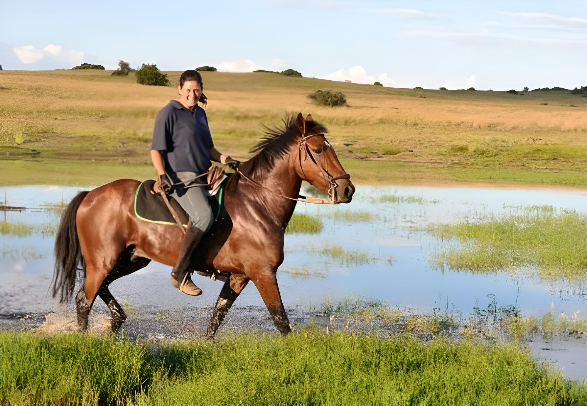 Photo 11