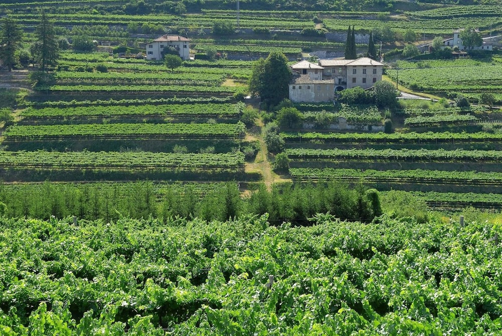B&B La Betulla