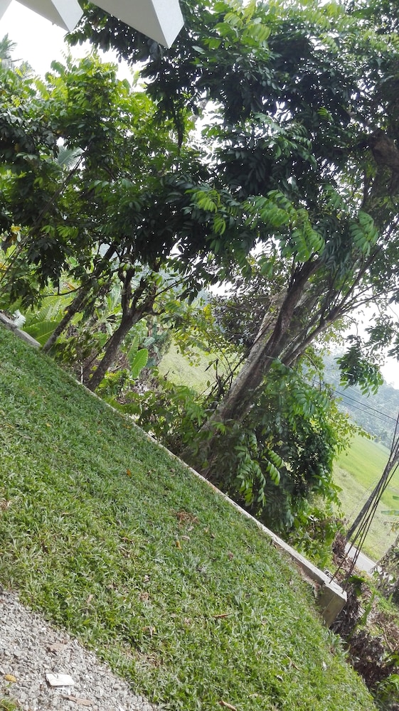 Aroma Villa