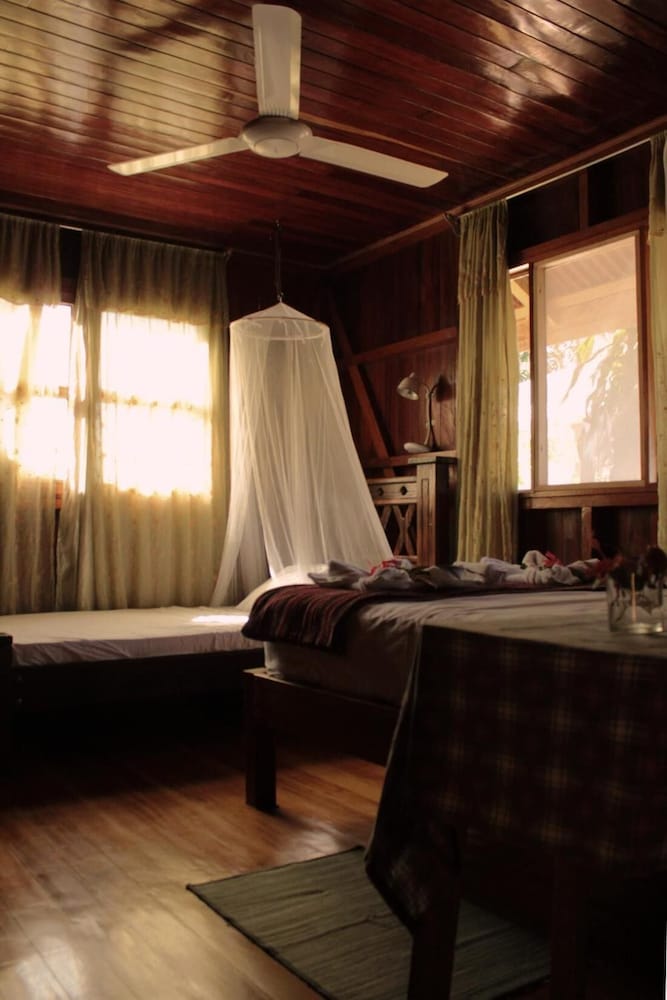 Triple Basic Room With Shared Areas and Shared Bathroom view 3