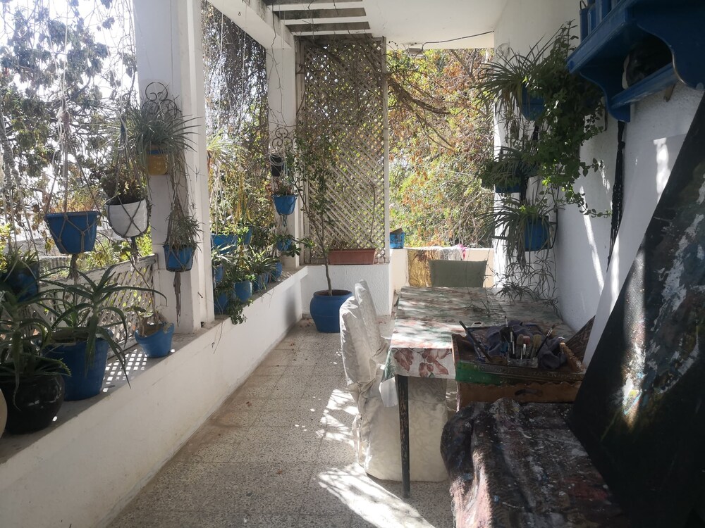 Photo 8