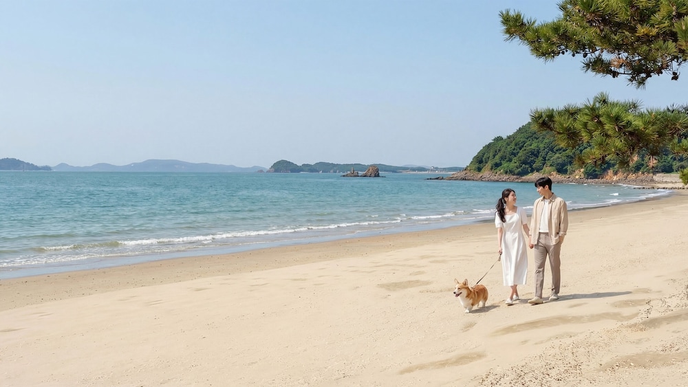 Taean Holy Dog Pool Villa