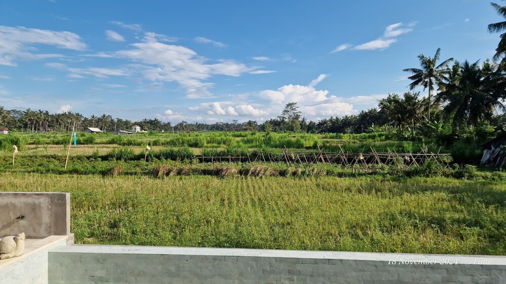 Bali View Ubud