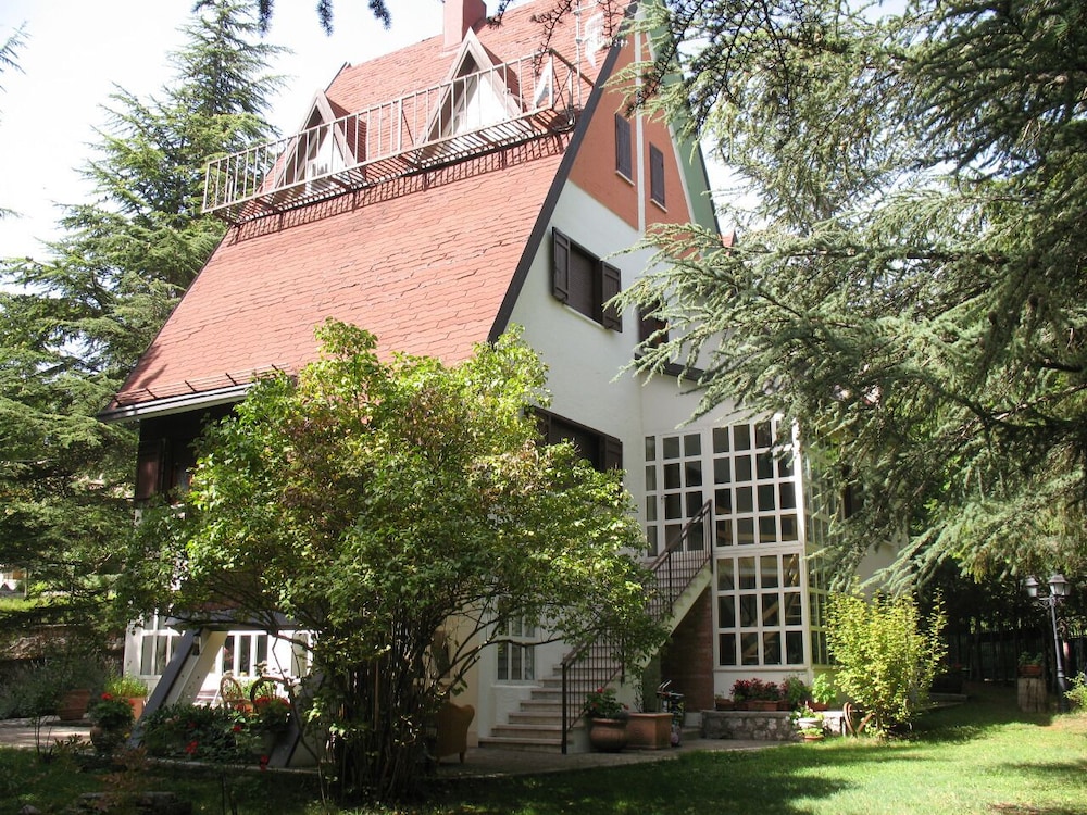 Photo 11