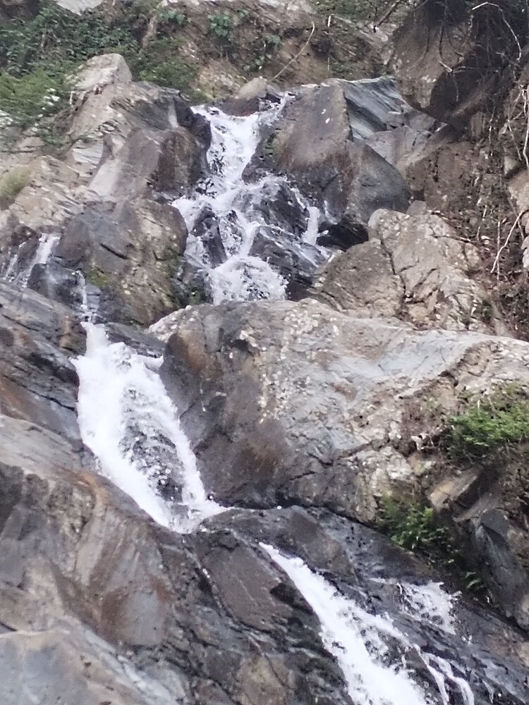 LAS CASCADAS HOSTEL TAYRONA