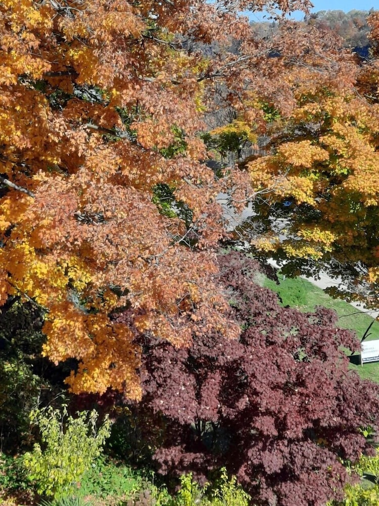 Niagara Grandview Boutique hotel