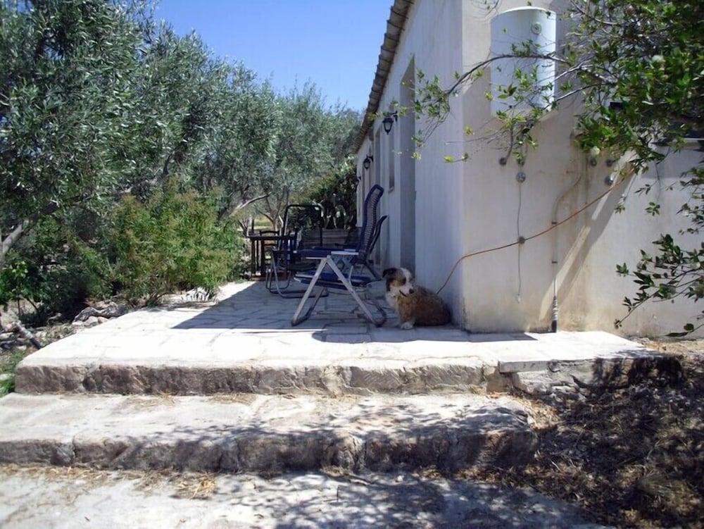 Photo 36