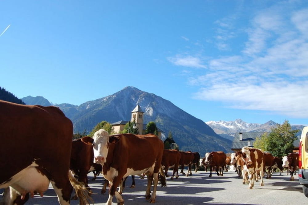 Spacious Holiday Home Near Center of Champagny